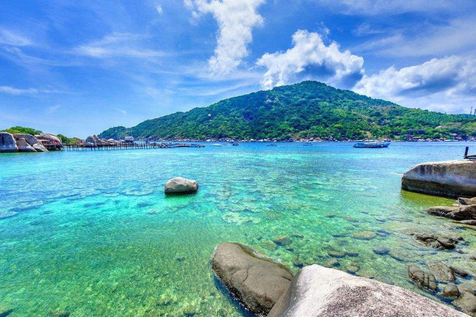 上海普陀长寿公园千姿百态的风景